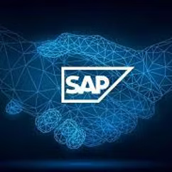 SAP Consulting